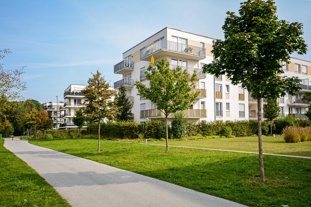 Välunderhållen bostadsmiljö med gräsmatta, buskar och gångstråk